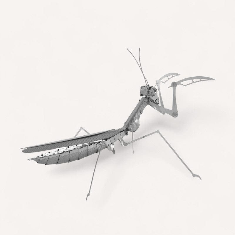 Puzzle Insecte 3D – Maquettes Éducatives et Décoratives