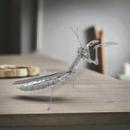 Puzzle Insecte 3D – Maquettes Éducatives et Décoratives